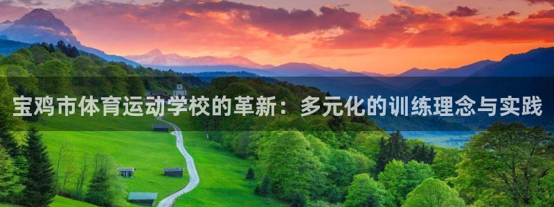 海南米兰体育官网下载:宝鸡市体育运动学校的革新:多元化的训练