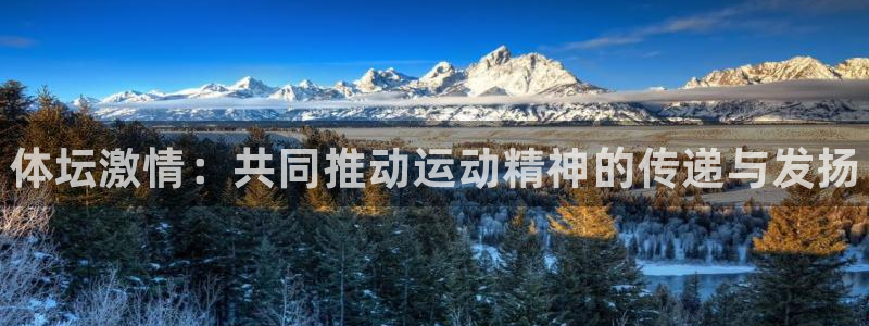 米兰体育官方正版app娱乐首页官网下载:体坛激情:共同推动运