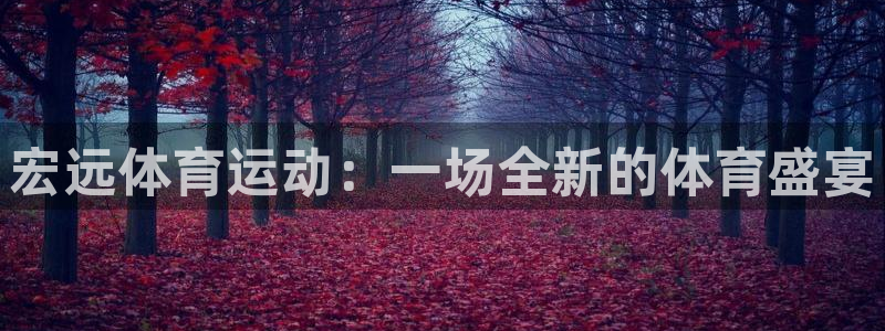 米兰体育官方正版app新能源:宏远体育运动:一场全新的体育盛