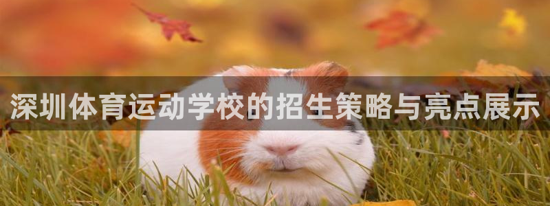 米兰体育官方正版app娱乐:深圳体育运动学校的招生策略与亮点