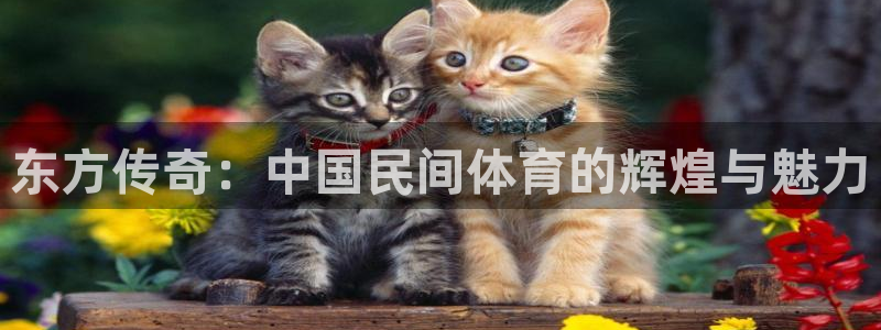 米兰体育官方正版app娱乐首页网站大全:东方传奇:中国民间体