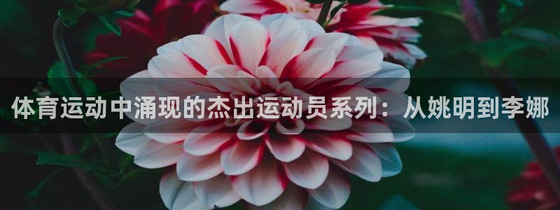 米兰体育官方集团官网:体育运动中涌现的杰出运动员系列:从姚明
