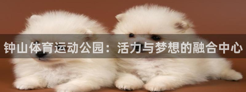 米兰体育官方正版app娱乐代理怎么样:钟山体育运动公园:活力